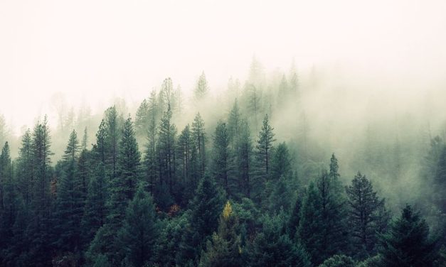 Water-Drinking Myths